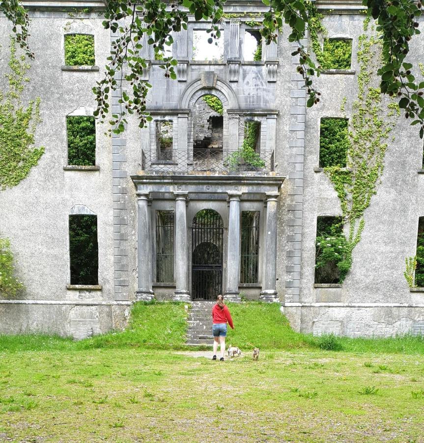 Reed Warbler Cottage Ballinrobe Eksteriør bilde