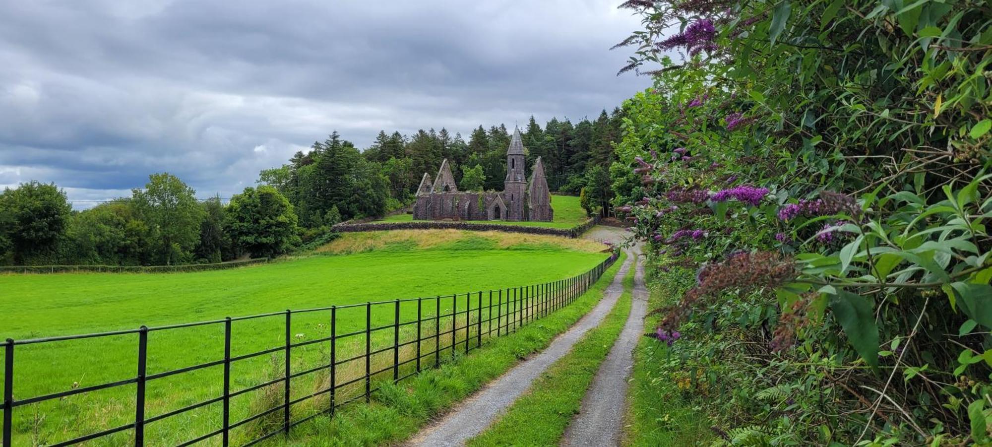 Reed Warbler Cottage Ballinrobe Eksteriør bilde